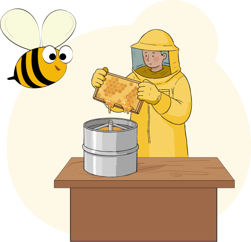 Natural Honey Collection