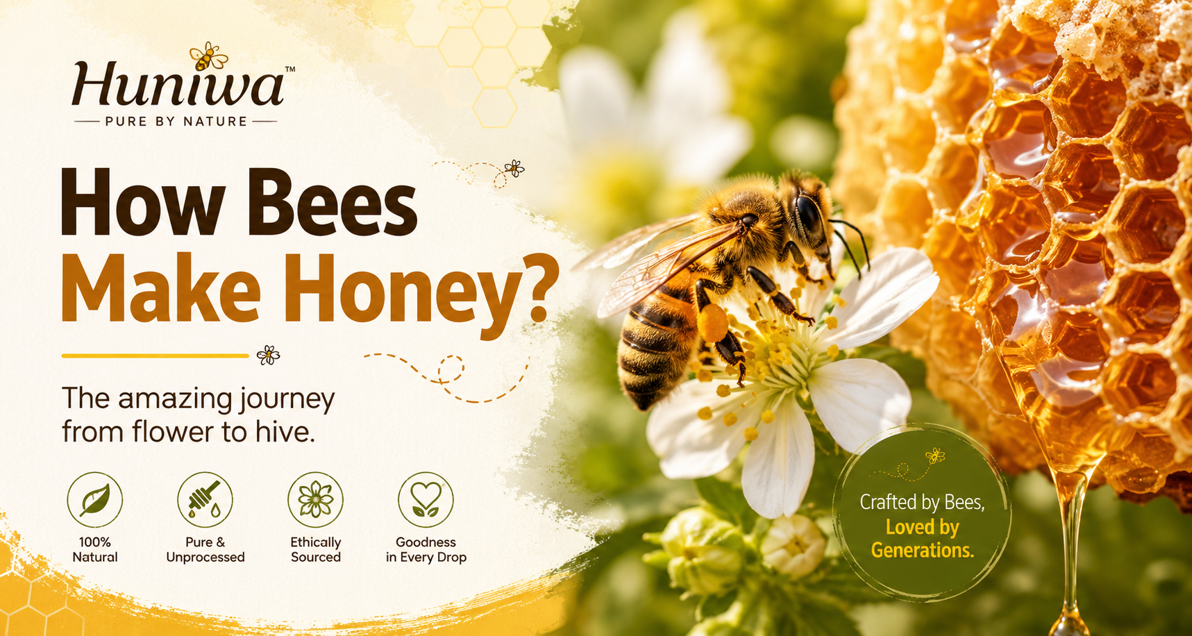 How Do Bees Make Honey? The Amazing Journey from Flower to Hive